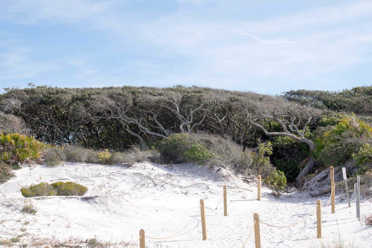 30A, FL
