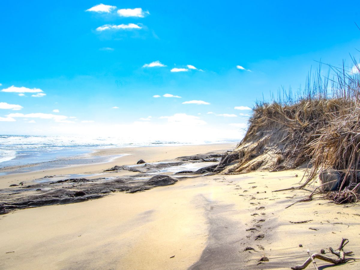 Cape Cod, MA